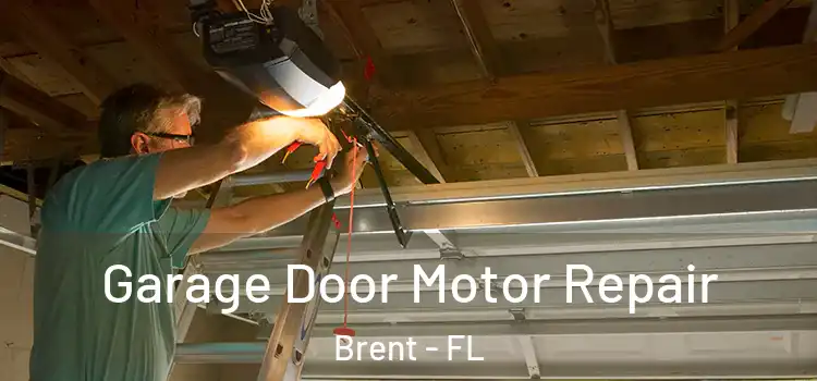  Garage Door Motor Repair Brent - FL