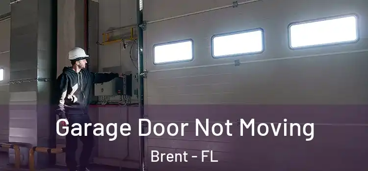  Garage Door Not Moving Brent - FL