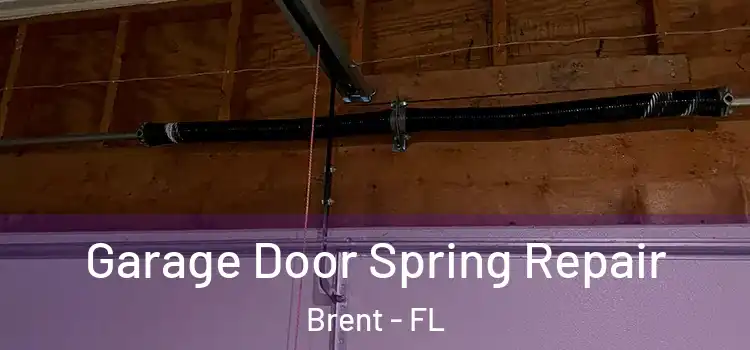  Garage Door Spring Repair Brent - FL