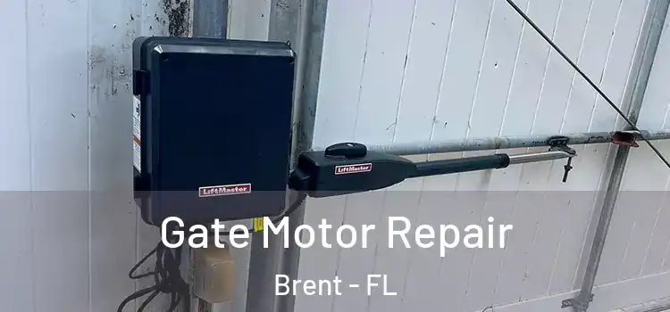  Gate Motor Repair Brent - FL