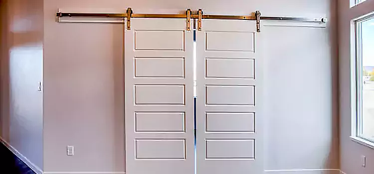 Glass Barn Door with Installation Hardware Kit Brent