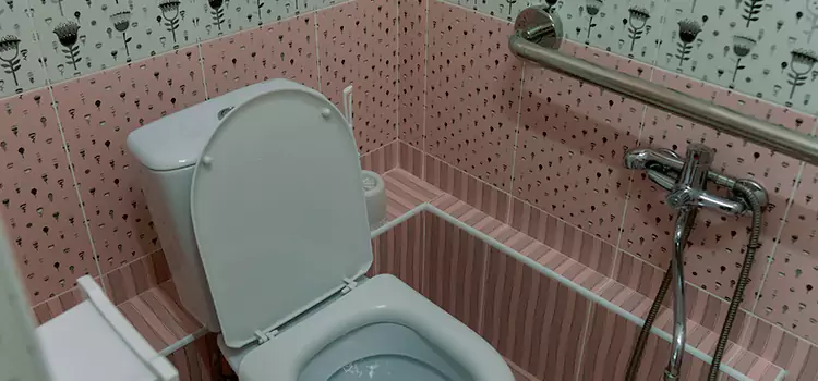 Meeting Diverse Needs With Accessible Restroom Solutions in Brent, FL