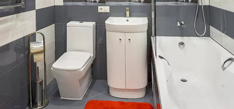 Hansgrohe Shaving Mirror Brent