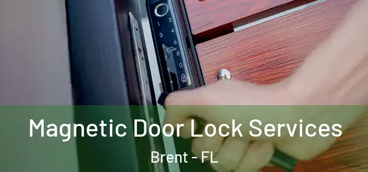  Magnetic Door Lock Services Brent - FL
